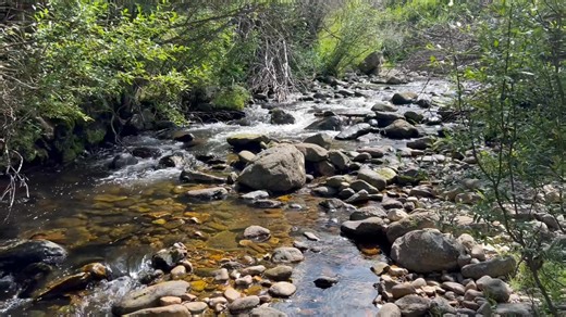 17K views · 1.2K reactions | Thirty Seconds Of Zen: Clear Creek, Bighorn National Forest | Craig Johnson | Facebook