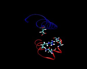 File:Role-of-Histone-Tails-in-Structural-Stability-of-the-Nucleosome-pcbi.1002279.s012.ogv - Wikimedia Commons