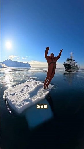 arctic vs antarctic