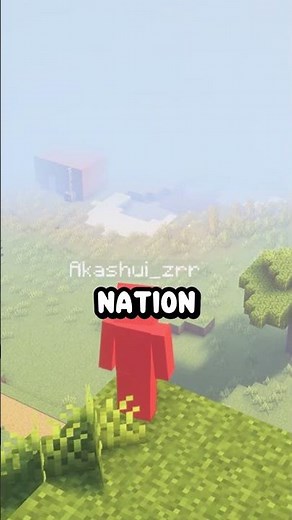 This server fix the problem EVERY minecraft players has ! #mcyt #minecraft