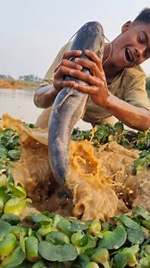 1.5M views · 6.3K reactions | Unbelievable Fishing River Secret Hole. Big Fish Catch By Hand.#fish #fishing #bigfish #fishhole | Fisherman Animal Lover-Original | Facebook