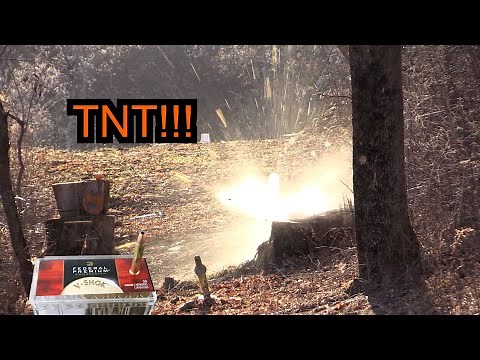 CZ 512 22WMR - Federal 30gr TNT Ammo Testing and Woodchuck Hunting