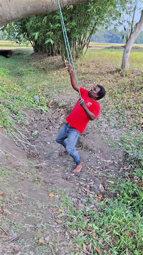 Nahid was sleeping on the branch of a big tree.#automobile #funny #comedy #tending