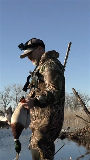 Hunting an Overlooked Duck Pond