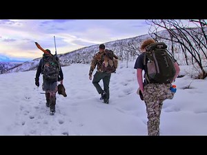 Late Season Cow Elk Hunt - IT HAPPENED FAST!!
