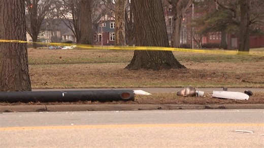 High winds take down trees, cause scattered power outages