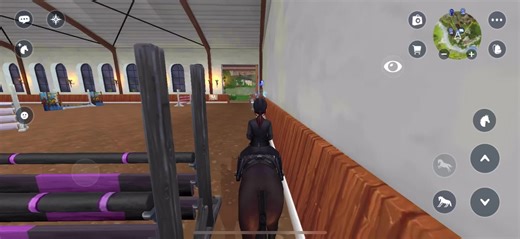 Rachael.Swifthawk on TikTok