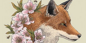 Goose Release 'Live at The Fox Theatre' Ahead of Fall Tour