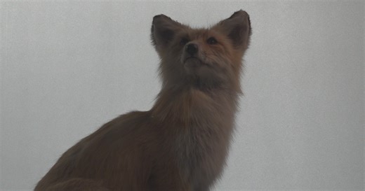 A sneak peek into the Wyoming State Museum's new attractions for summer