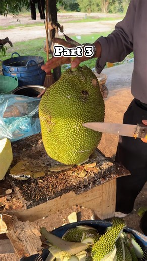 reddit6628 on TikTok