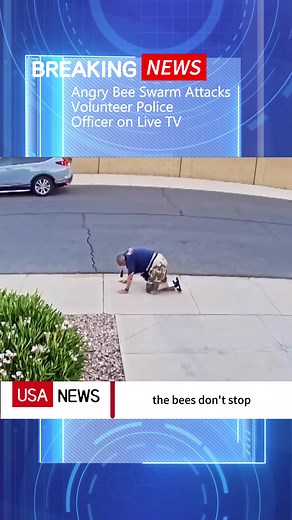 Angry Bee Swarm AttacksVolunteer PoliceOfficer on Live TV#NEWS#FORYOU#FYP