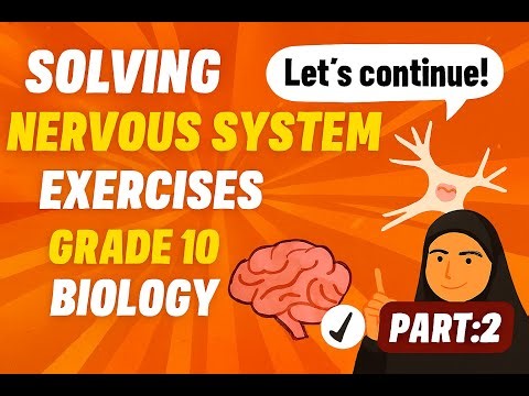 Nervous System Exercise 1 Part 2