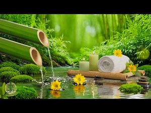 Relaxing Music for Healing + Sleeping 🌿 Meditation Music Relax Mind Body, Cure Insomnia, Anxiety