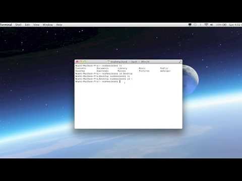 Terminal Lesson 1 - Basic Commands and Navigation
