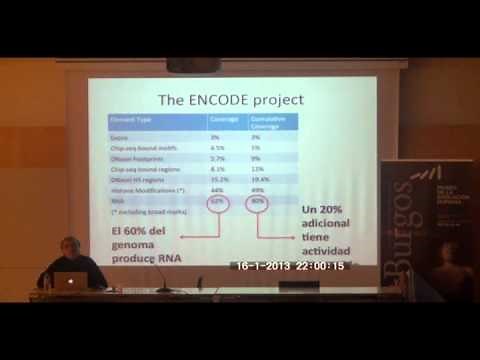 Los secretos ocultos en el ADN basura