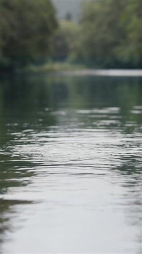 🔥 Christmas Sale is LIVE!!! Gear up for your next fishing adventure with Maxxon Outfitters! 🎣 Explore our premium selection of fly rods, reels, lines, and combos, everything you need to make your time on the water unforgettable. 🌊 Whether you're chasing big game in saltwater or perfecting your cast on a quiet stream, Maxxon Fly has you covered. Discover the ultimate fishing experience with Maxxon Outfitters today! 🐟 | Maxxon Outfitters