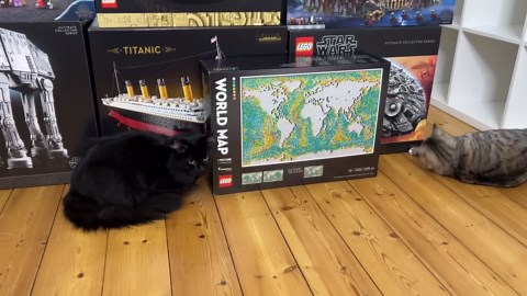 I Built The BIGGEST LEGO SETS Ever Released!