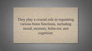 The role of neurotransmitters in brain functions