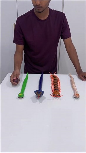 Testing 4 Remote Control Snakes