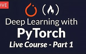 Deep Learning with PyTorch Live Course