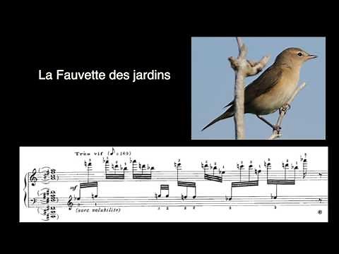 Les chants d'oiseaux du CATALOGUE D'OISEAUX d'Olivier Messiaen
