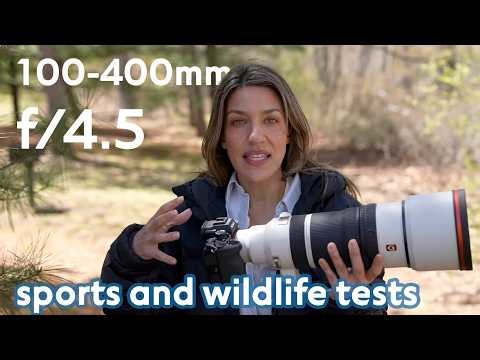 Could this replace my 200-600mm?