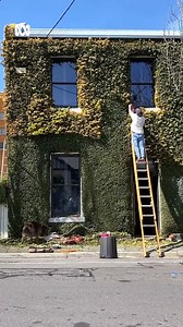 105K views · 1.7K reactions | We love a good gardening transformation...