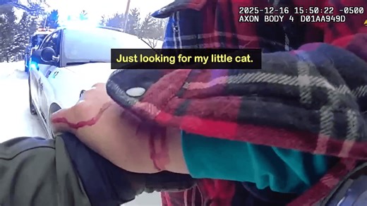 Michigan DNR conservation officer helps rescue homeowner, pets during fire