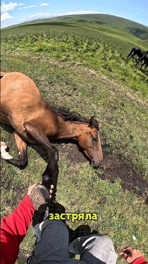 My friend and I were driving to Nagornoye Lake and accidentally stumbled upon this beauty #chechn...