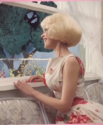 Exploring Audrey's Journey in Little Shop of Horrors