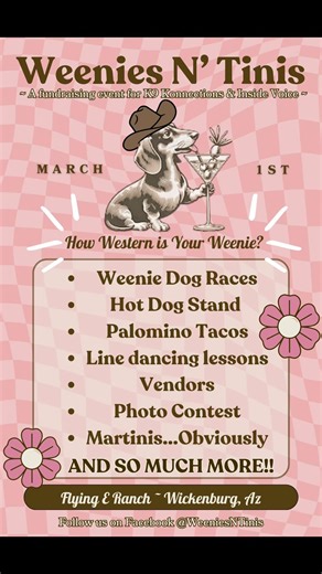 Weenie Dog Races and Tacos at Flying E Ranch