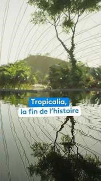 TROPICALIA: The end of the story on the Opal Coast