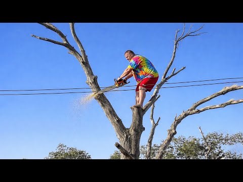 Idiots With Chainsaws: Tree Cutting Fails | Extreme Dangerous Logging Truck Fails #37