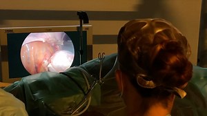 {DIS DOCTEUR, COMMENT QU'ON FAIT UNE OVARIECTOMIE ?} Spécialiste de la salle d'opération à Clinique Equine de Meslay, l'une des des plus grandes cliniques vétérinaires équines en France, le Dr. Tamara de Beauregard vous propose de découvrir une nouvelle méthodologie d'ovariectomie, réalisée sur une poulinière avec des outils spécifiques. | France Sire