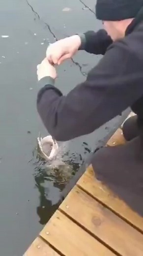 Fishing Techniques for Catching Large Fish