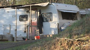 Pit bull attack likely exposed dog fighting ring