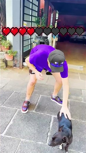 EVERYTHING CAUSES DAMAGE Purple