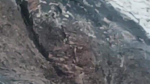 bedrog (@bedrog1)’s videos with original sound - bedrog