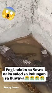 326K views · 641 reactions | Kadako sa Sawa naka sulod sa Kulungan sa Buwaya #snake #Python #sawa #croccodile #buwaya #viralreels #trendingreels #trending #meta #viewers #followers #friends #highlights #StarSender | Danny Puasa | Facebook