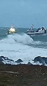 40K views · 117 reactions | Aberdeen Harbour Tours on Reels | Facebook