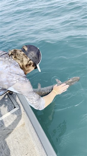 Big water skis🛳 #musky #muskie #muskiefishing #facebookreels #muskyfishing #reelsfb #muskyhunter #reels #fishingreels #fishon #facebookreels #bigwater #fishing #fishinglife #myaddiction #fishingjunkie #fishofalifetime #simmsfishing #reels2023 | SBS Outdoors