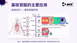 寡核苷酸：探索基因治疗的无限可能