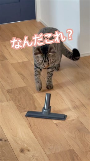 VS 掃除機ヘッド