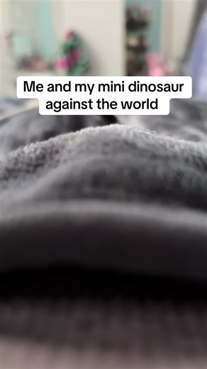 Mini Dinosaur Tortoise: The Ultimate Exotic Pet