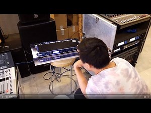 Effect Vokal Lexicon Mx 300