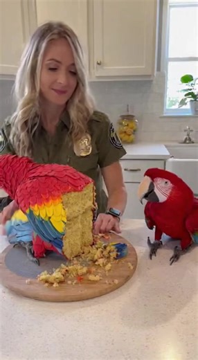 8.3K views · 196 reactions | 列✨ “That’s My Cousin You’re Eating!” —...