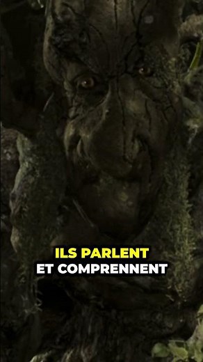 Discover the origin of ENTS!