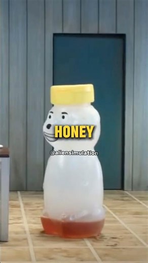 DON’T Use Honey - Robot Chicken Short Edit