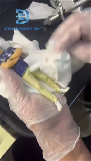 Dreambot3d From Scan To Print | Make a realistic figurine