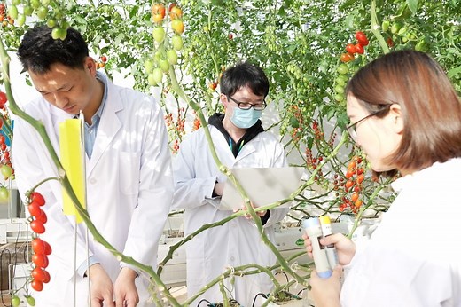 Agriculture needs technology for resilient food production